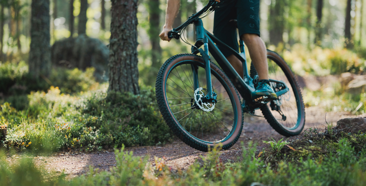 Närbild på en cyklist som svänger på en smal skogsstig omgiven av grönska i sommarljus