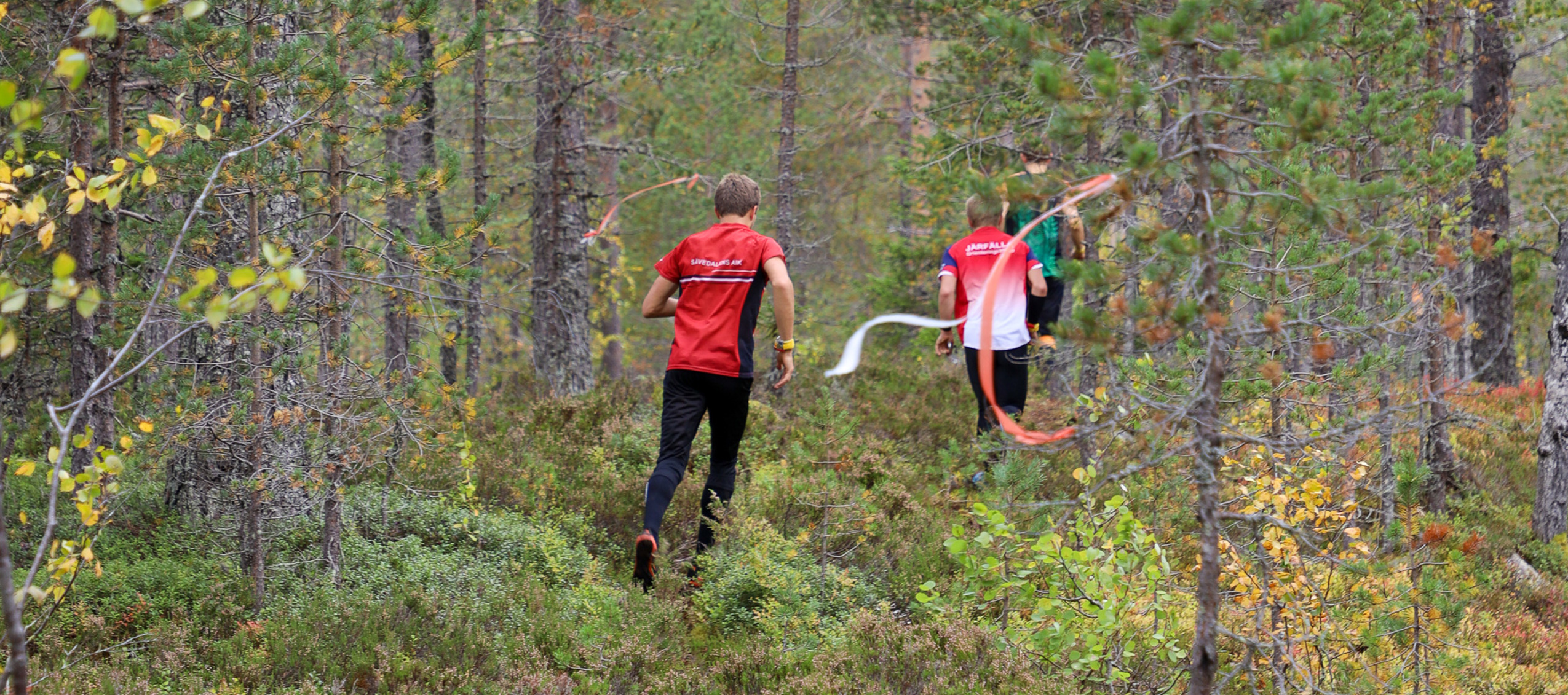 Två personer springer genom skogsterräng under orienteringsaktivitet.
