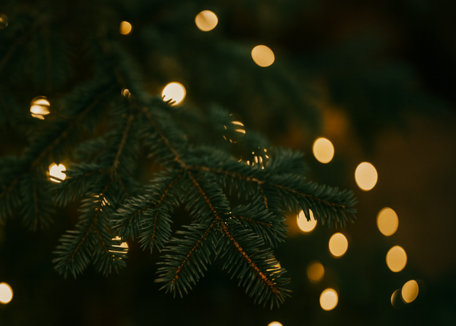 ”Närbild på en julgransgren med gröna barr, dekorerad med varma ljuspunkter mot suddig bakgrund.”