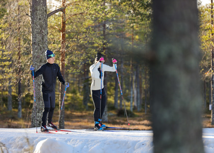 Två längdskidåkare på tur i ett solbelyst skogsparti med sparsam snö på marken, en i svart och en i vit jacka.
