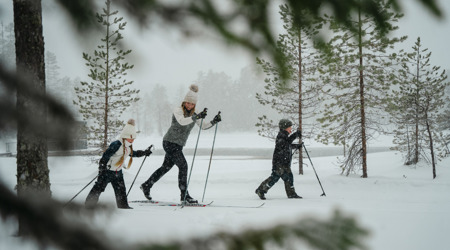 Vuxen och två barn åker längdskidor i snöigt skogslandskap