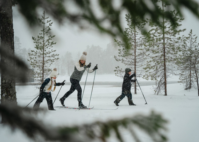 Vuxen och två barn åker längdskidor i snöigt skogslandskap