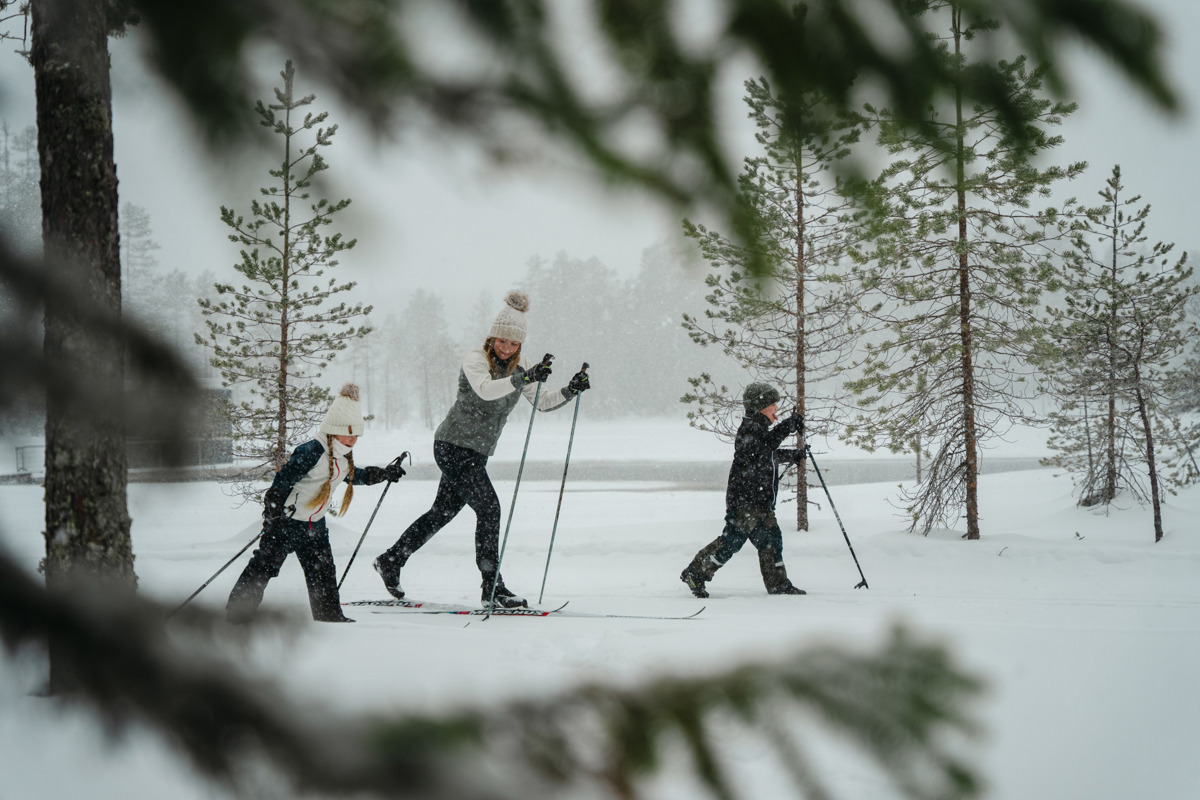 Vuxen och två barn åker längdskidor i snöigt skogslandskap