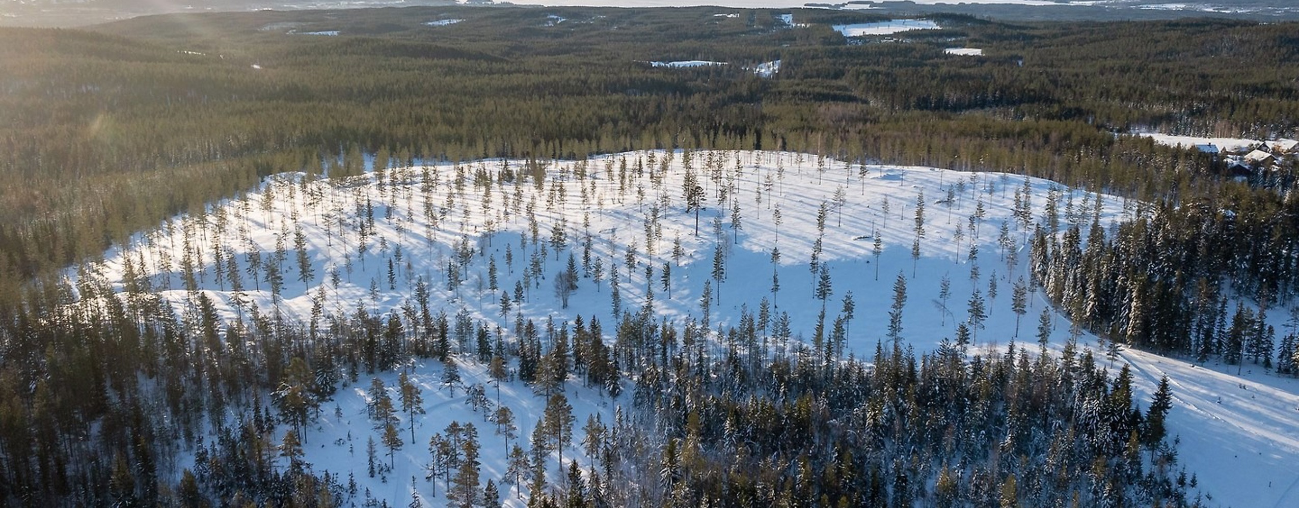 Flygbild över snötäckt skogslandskap med sjö i bakgrunden.