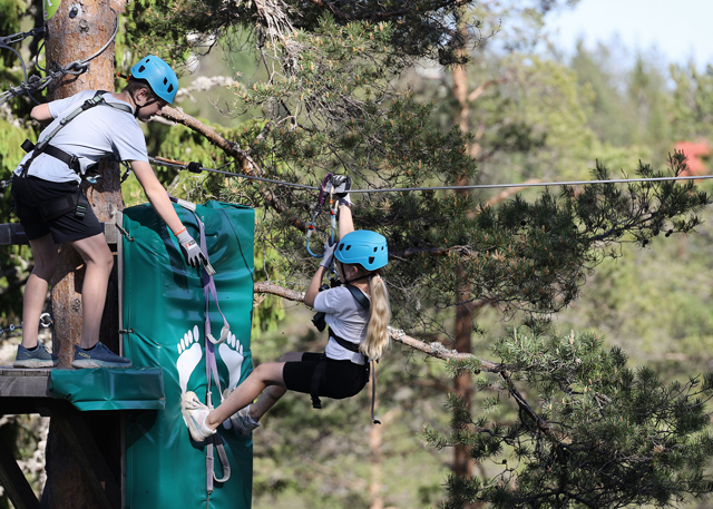 Person stepping off platform on a high ropes course in forest