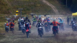 Flera personer kör motocross på en gräsbana och startar samtidigt.