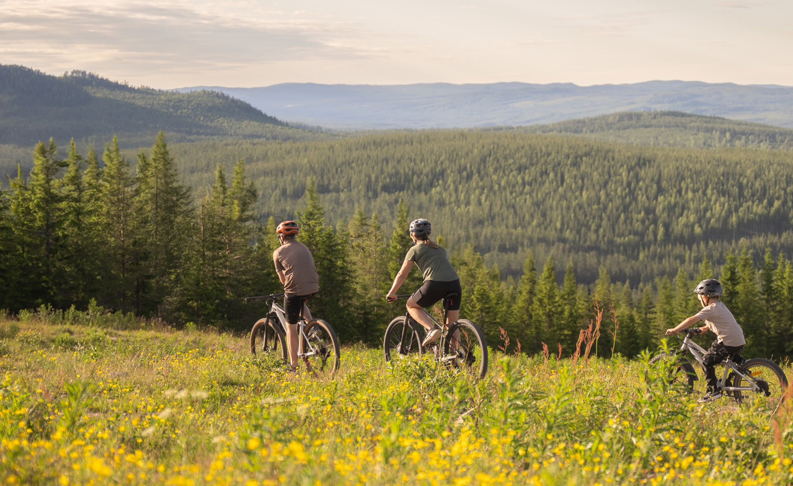 Tre personer cyklar på stig i blommande äng med skog och kullar