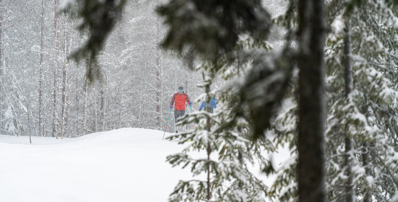 Längdskidåkare i röd jacka åker genom ett snöigt skogslandskap, inramad av snötäckta granar.