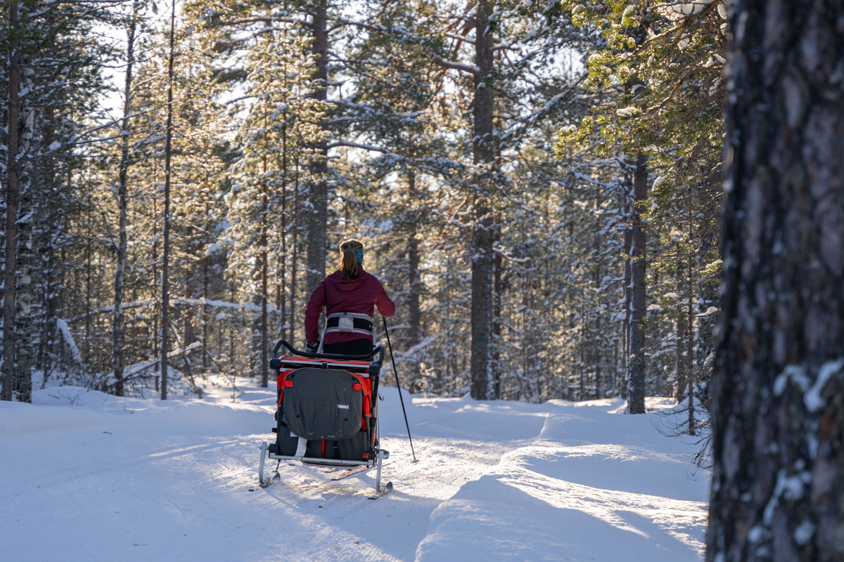 Person cross-country skiing through a snowy forest while pulling a sled.