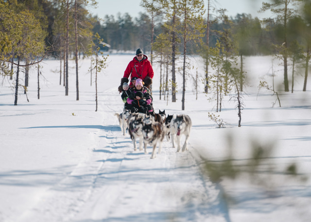 Hundspann med förare och passagerare kör mot kameran på snötäckt stig i Orsa Grönklitt.