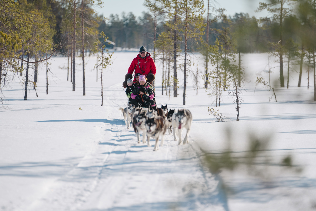 Dog sled with driver and passengers heading toward the camera on a snow-covered trail in Orsa Grönklitt.