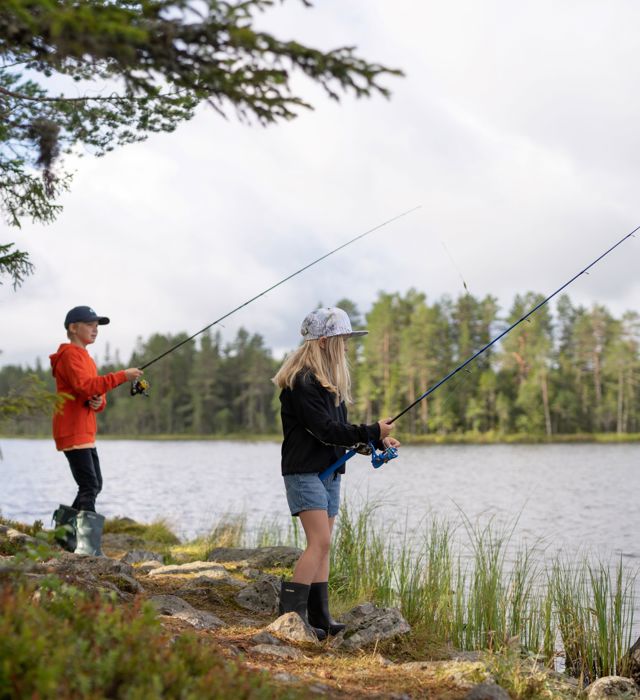 Fiske Grönklitt