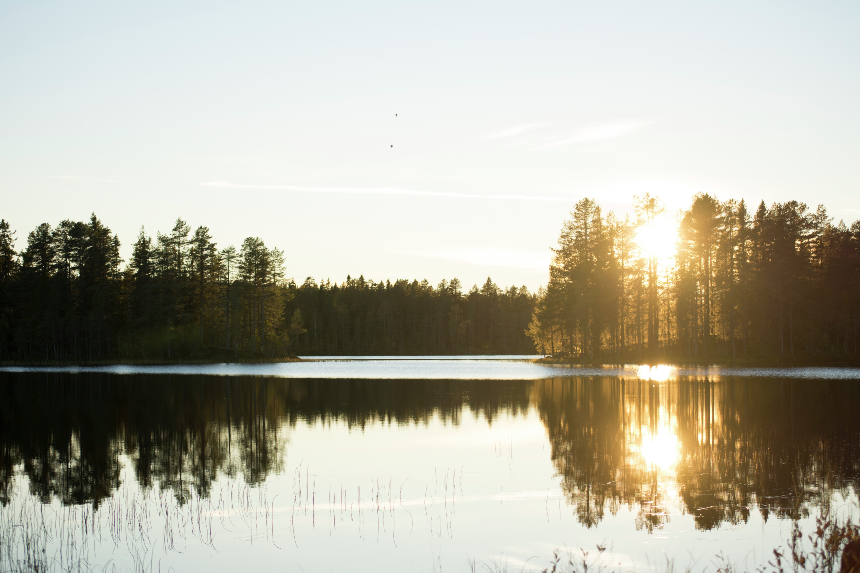 Sunset over a calm lake surrounded by forest.