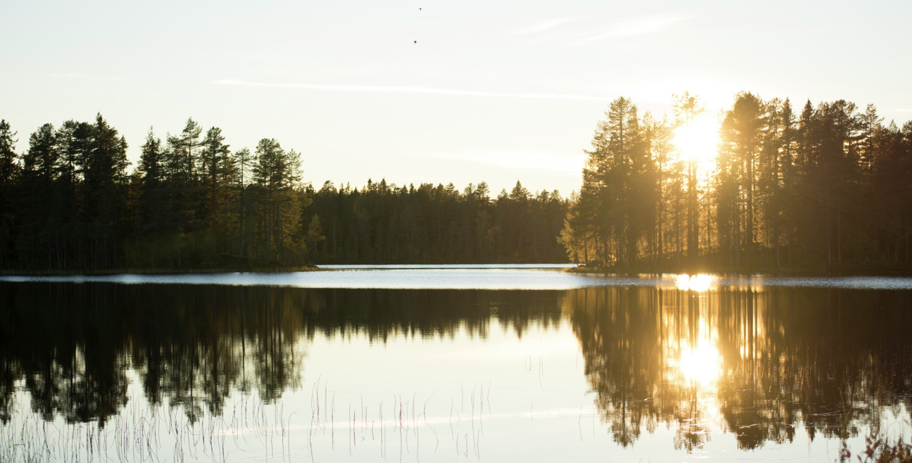 Solnedgång över en spegelblank sjö omgiven av skog.