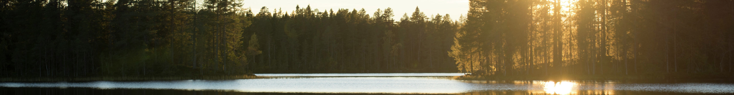 Sunset over a calm lake surrounded by forest.