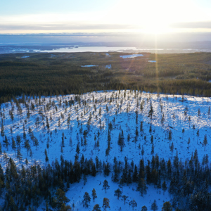Snötäckt vy över planerat tomtområde i Orsa Grönklitt med granar i landskapet.