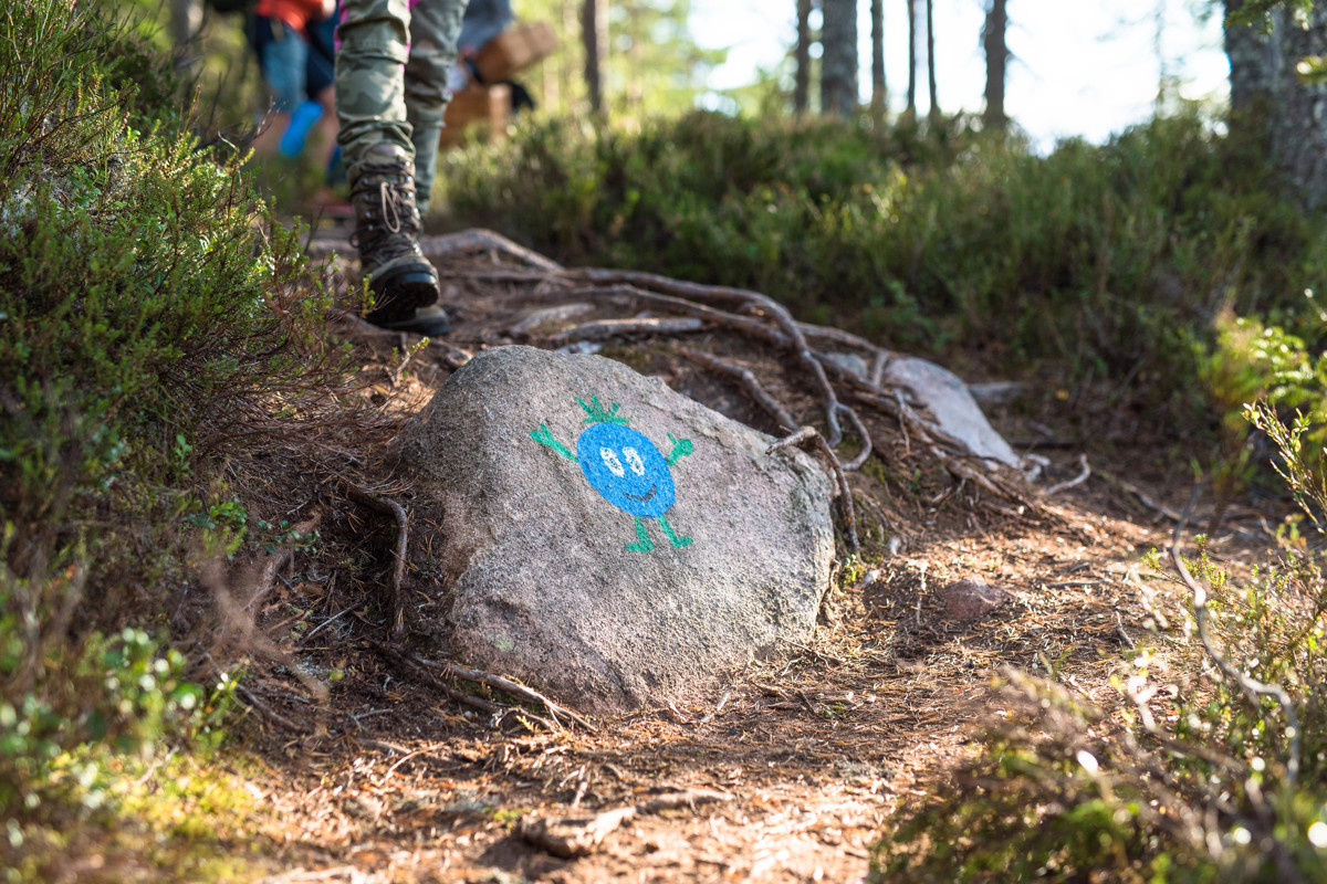 Bärras ansikte målat på en sten längs en skogsstig.