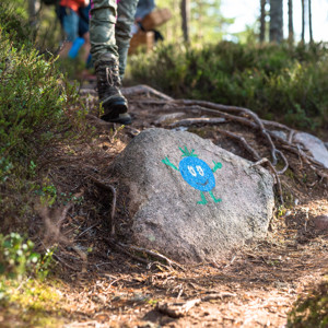 Bärra’s face painted on a rock along a forest trail.