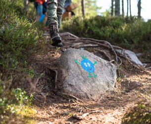 Bärra’s face painted on a rock along a forest trail.