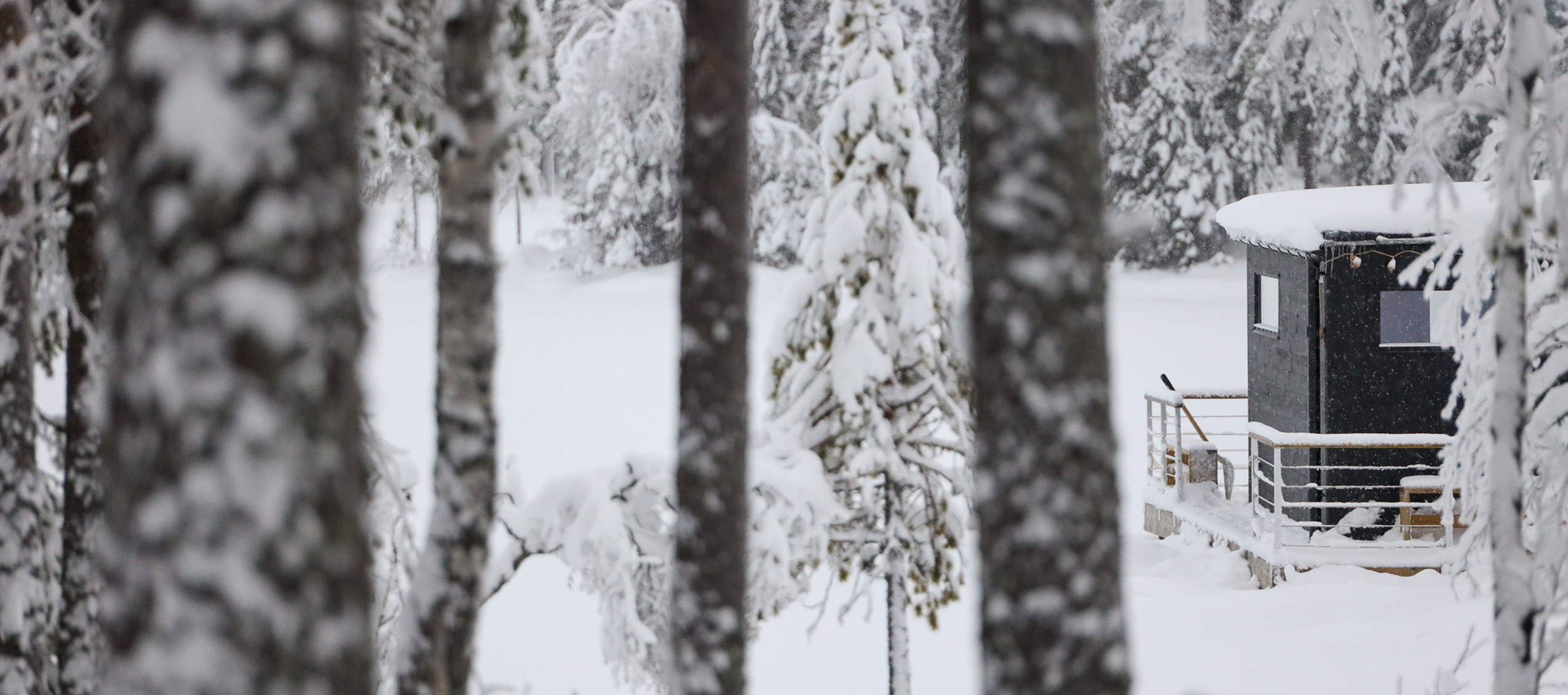 Snötäckt skog med granar och björkar. I bakgrunden syns en mörk bastuflotte vid en frusen sjö.