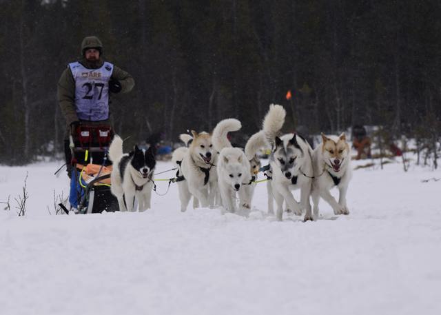 A musher drives a sled team of six dogs through the snow in a winter landscape.