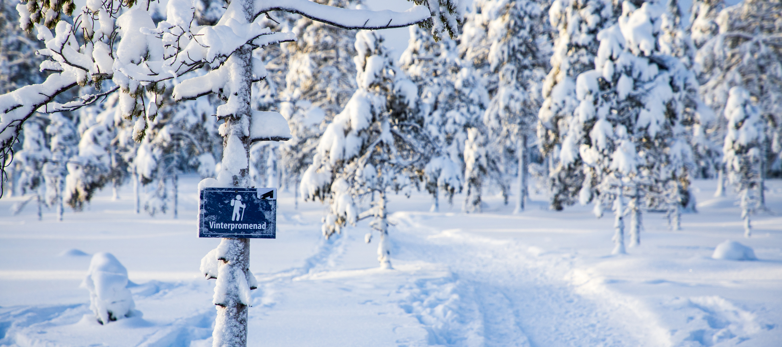 Snötäckt promenadled slingrar sig genom en vintrig skog med skylt för vinterpromenad.