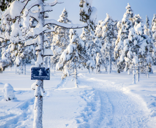 Snötäckt promenadled slingrar sig genom en vintrig skog med skylt för vinterpromenad.