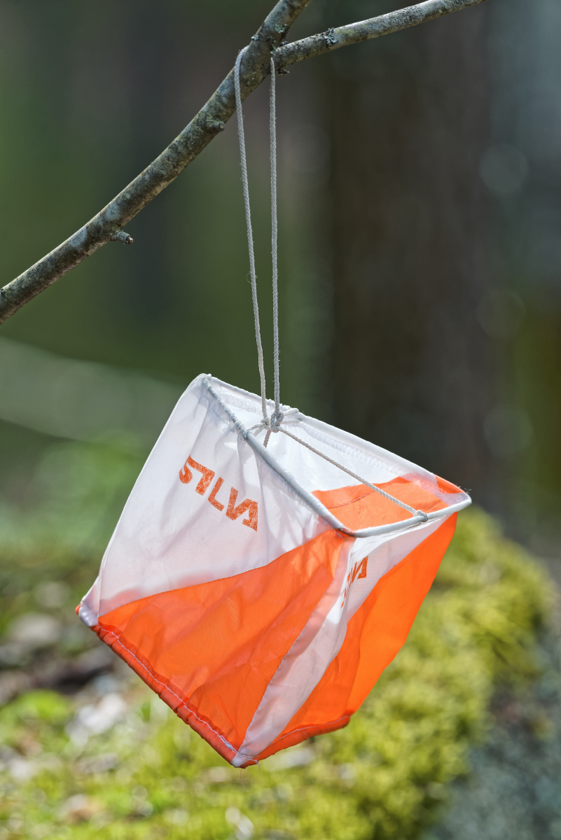 Orientering i Orsa Grönklitt