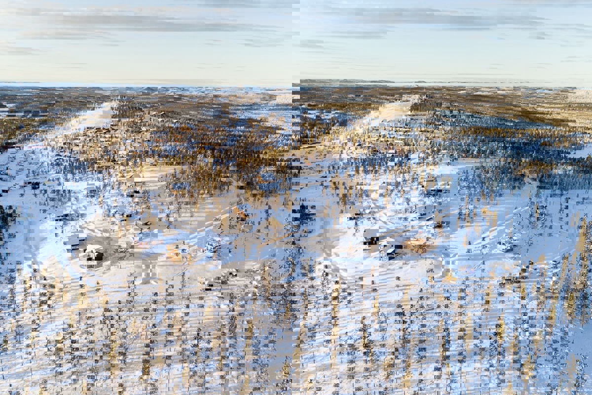 Flygvy över snötäckt skidområde med skog, byggnader och preparerade spår.