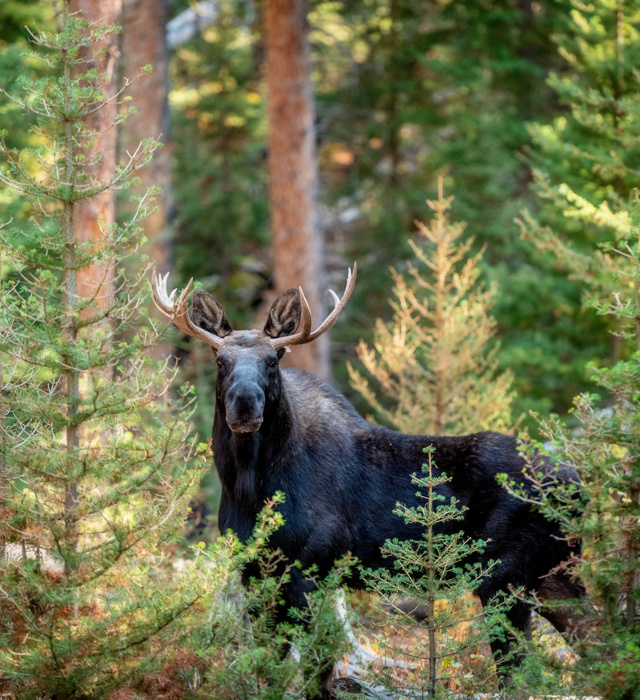 Adobestock 384590376