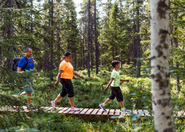 Family walking on a narrow boardwalk through lush forest.