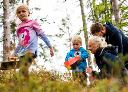 Family with young children picking berries together in the forest on a summer day.