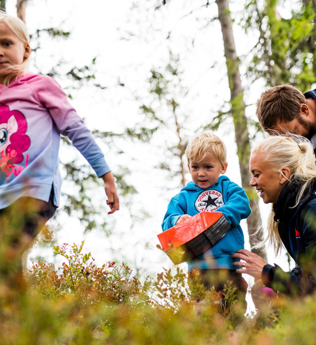 familj-plockar-bär-orsa-gronklitt