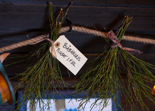 Bundna kvistar hängande i ett snöre med en etikett som texten ”Blåbäret plockat i fjol”, i en träinteriör.