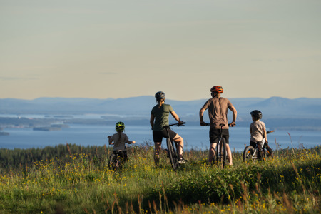 En familj med två vuxna och två barn står med sina cyklar i en blommande sommaräng och blickar ut över en vidsträckt utsikt med sjöar och blå berg i horisonten.