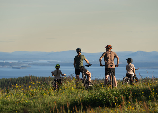 En familj med två vuxna och två barn står med sina cyklar i en blommande sommaräng och blickar ut över en vidsträckt utsikt med sjöar och blå berg i horisonten.