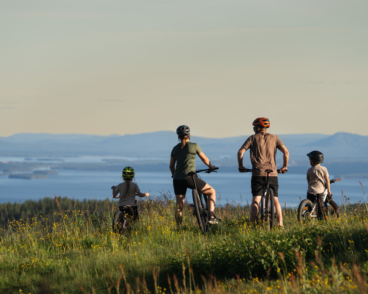 En familie med to voksne og to børn står med deres cykler i en blomstrende sommereng og ser ud over en vid udsigt med søer og blå bjerge i horisonten.