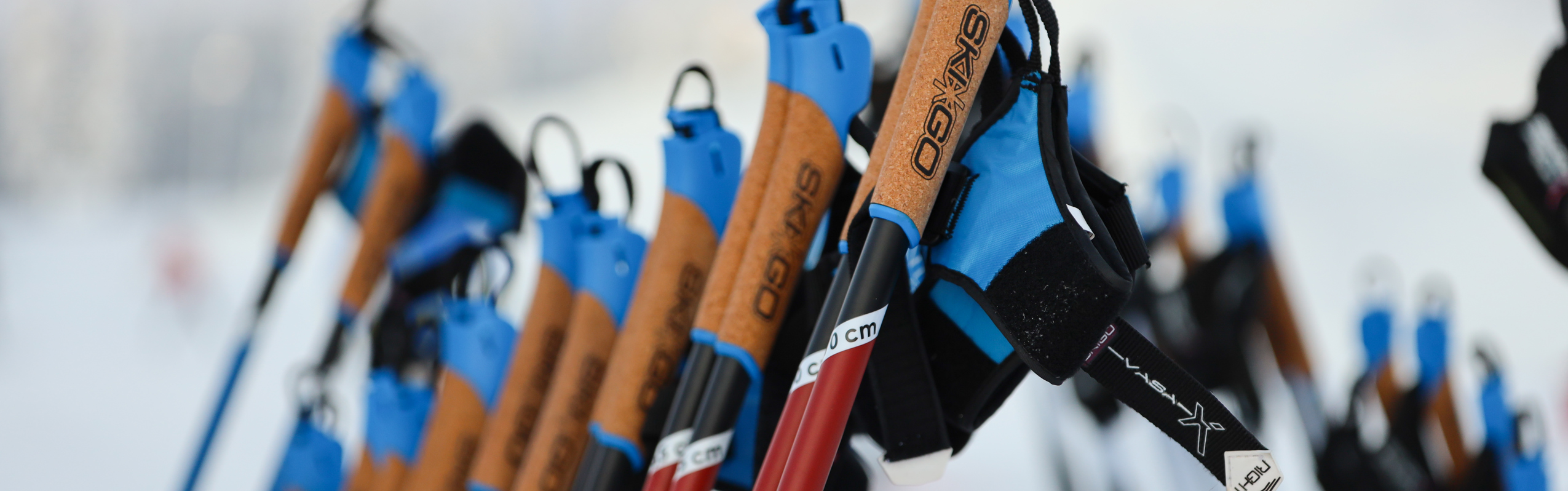 Närbild på en rad längdskidstavar med blå och korkbruna handtag, uppradade i ett vinterlandskap.
